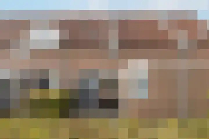 Veenmos 101 Kampen thumbnail 32