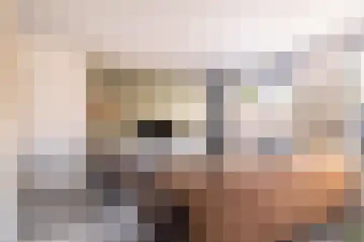 Veenmos 101 Kampen thumbnail 5