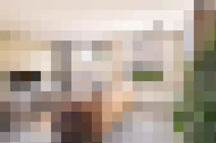 Veenmos 101 Kampen thumbnail 6