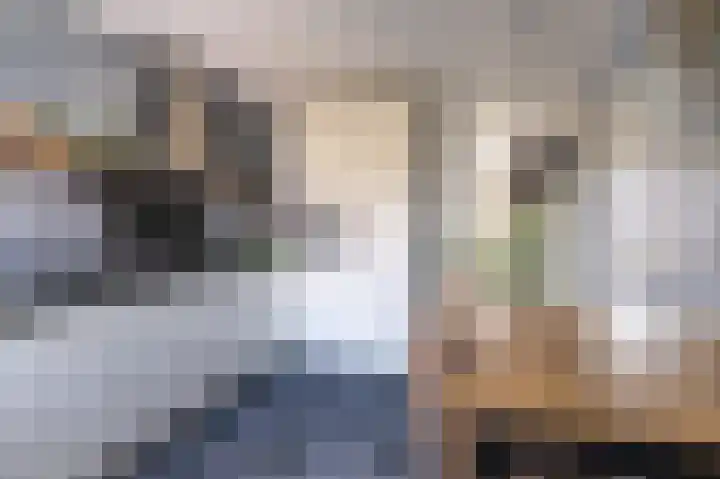Veenmos 101 Kampen thumbnail 7
