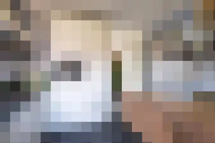 Veenmos 101 Kampen thumbnail 8