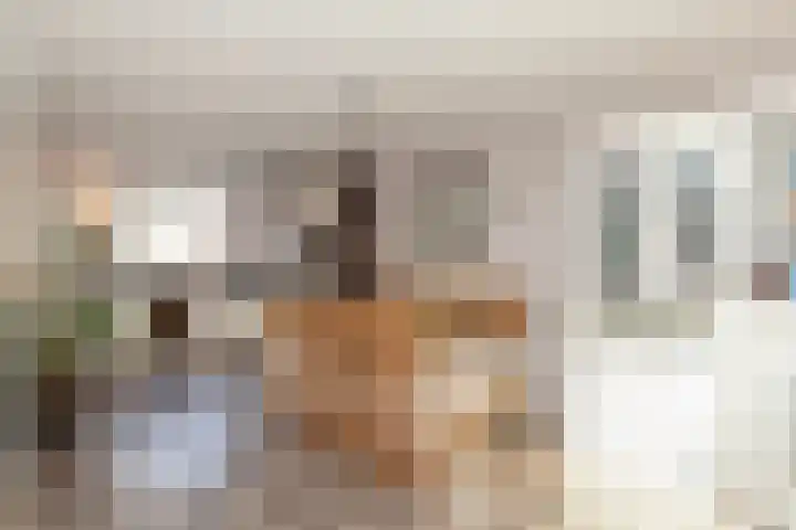 Veenmos 11 Alblasserdam thumbnail 11