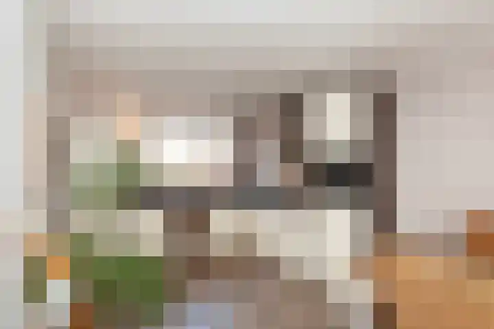 Veenmos 11 Alblasserdam thumbnail 12