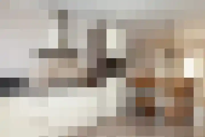 Veenmos 11 Alblasserdam thumbnail 13