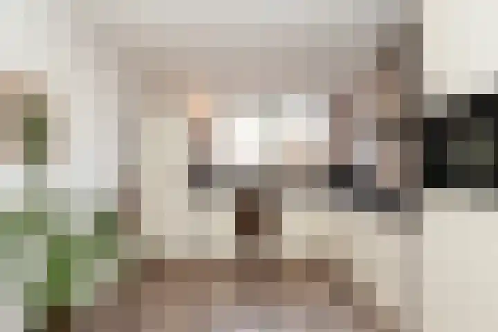 Veenmos 11 Alblasserdam thumbnail 14
