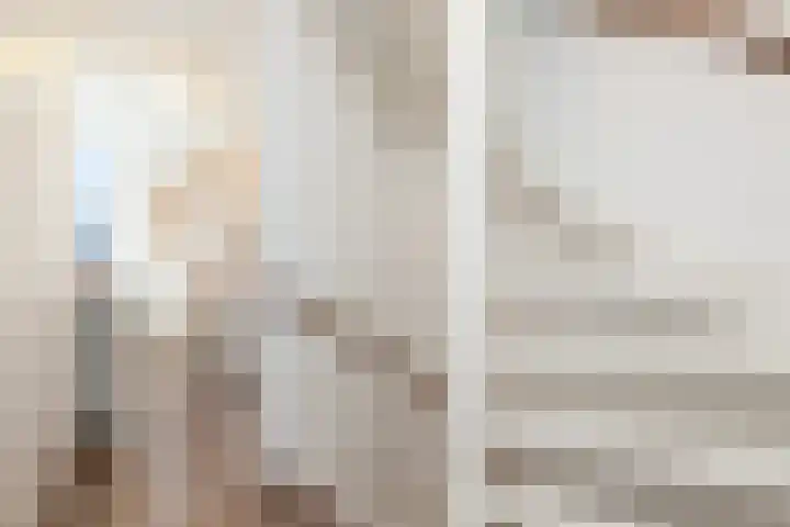 Veenmos 11 Alblasserdam thumbnail 16