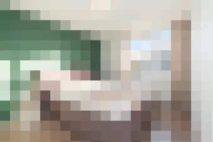 Veenmos 11 Alblasserdam thumbnail 17