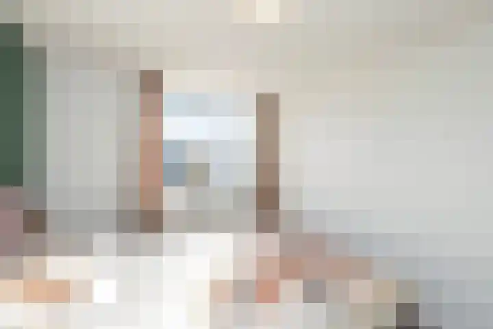 Veenmos 11 Alblasserdam thumbnail 18
