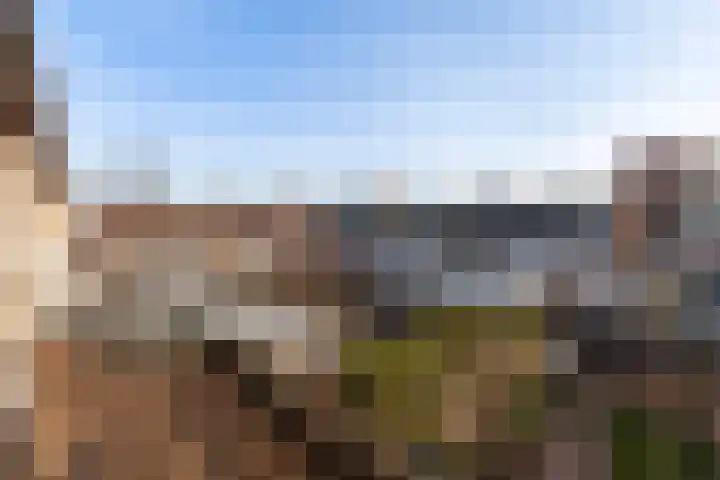 Veenmos 11 Alblasserdam thumbnail 21