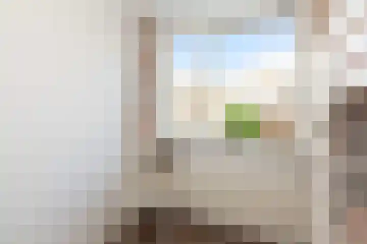 Veenmos 11 Alblasserdam thumbnail 23