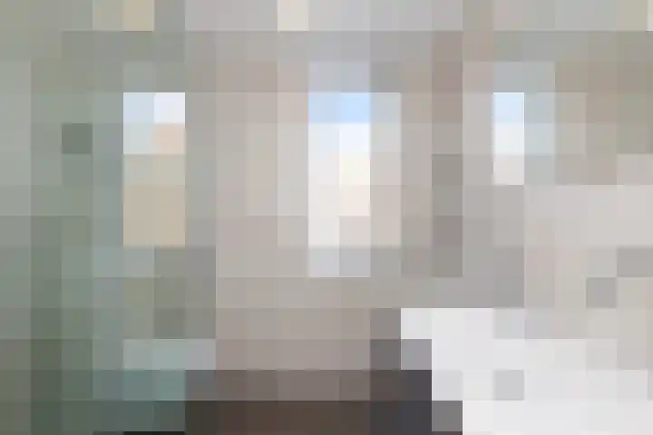 Veenmos 11 Alblasserdam thumbnail 25