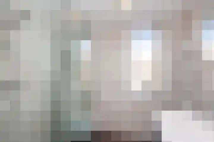 Veenmos 11 Alblasserdam thumbnail 26