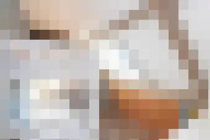 Veenmos 11 Alblasserdam thumbnail 31