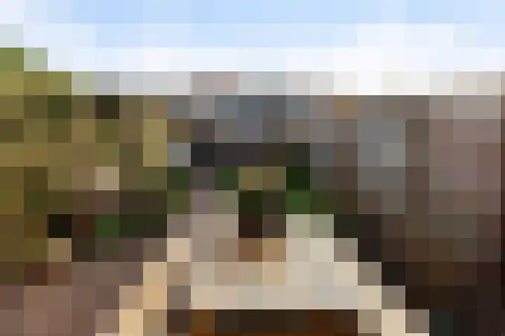 Veenmos 11 Alblasserdam thumbnail 34