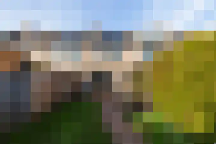 Veenmos 11 Alblasserdam thumbnail 35