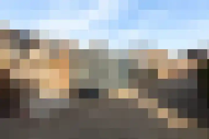 Veenmos 11 Alblasserdam thumbnail 37
