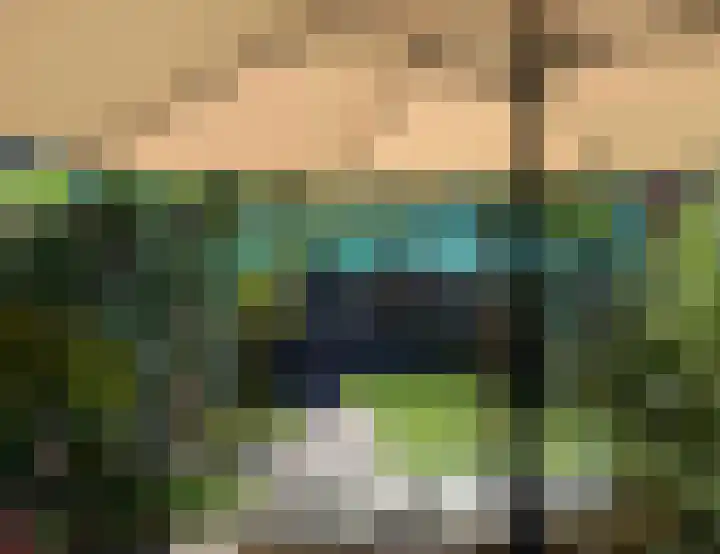 Veenmos 11 Alblasserdam thumbnail 38