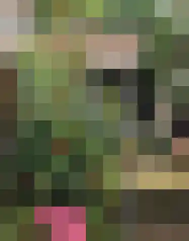 Veenmos 11 Alblasserdam thumbnail 39