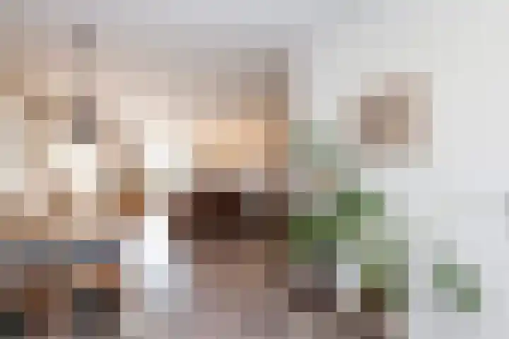 Veenmos 11 Alblasserdam thumbnail 4