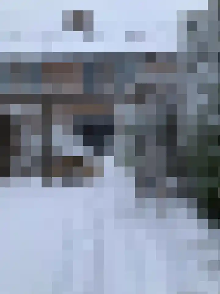 Veenmos 11 Alblasserdam thumbnail 40
