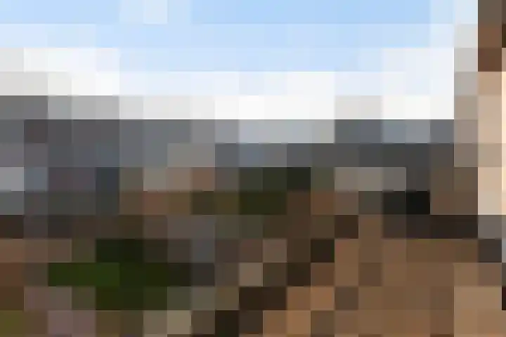 Veenmos 11 Alblasserdam thumbnail 41