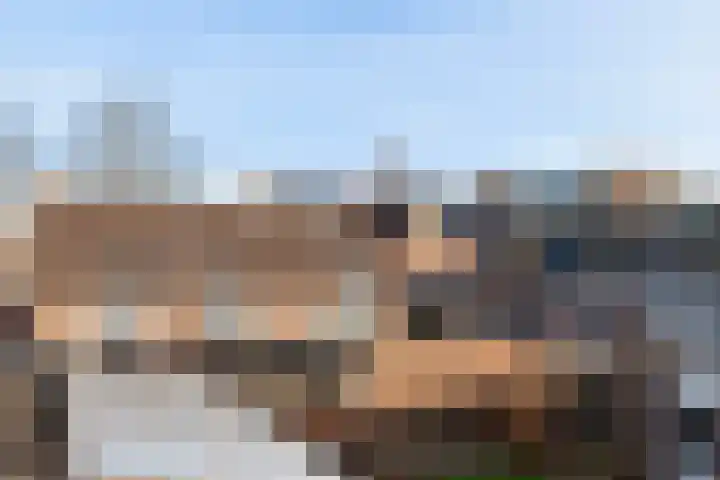 Veenmos 11 Alblasserdam thumbnail 42