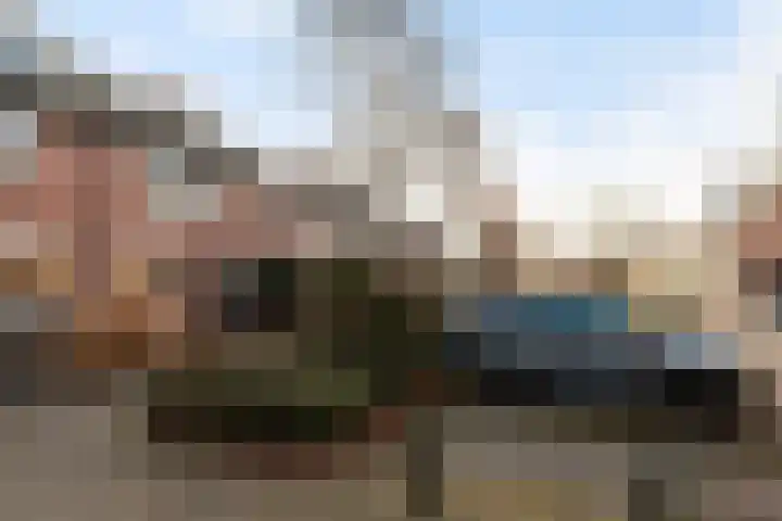 Veenmos 11 Alblasserdam thumbnail 43