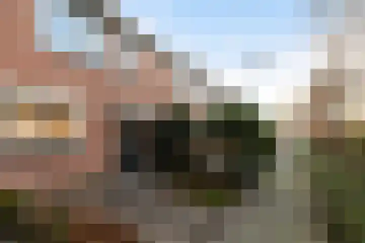 Veenmos 11 Alblasserdam thumbnail 44