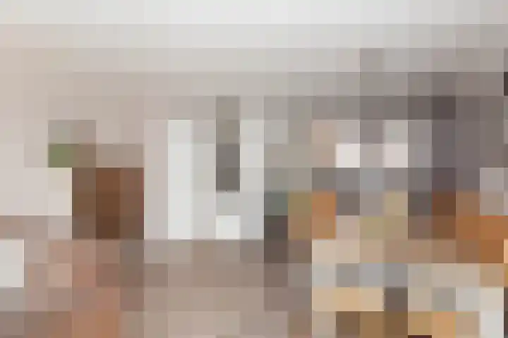 Veenmos 11 Alblasserdam thumbnail 5