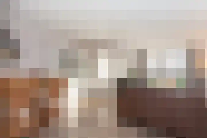 Veenmos 11 Alblasserdam thumbnail 6