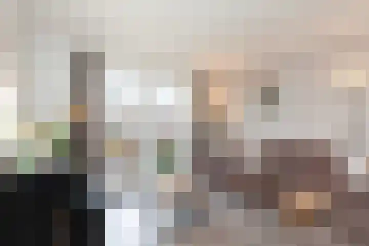 Veenmos 11 Alblasserdam thumbnail 7