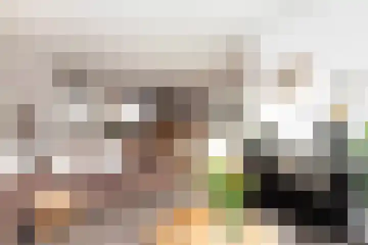 Veenmos 11 Alblasserdam thumbnail 9