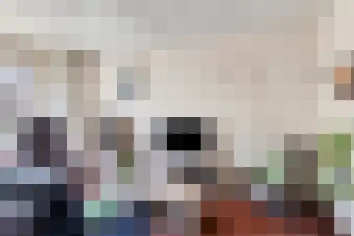 Veenmos 119 Kampen thumbnail 12