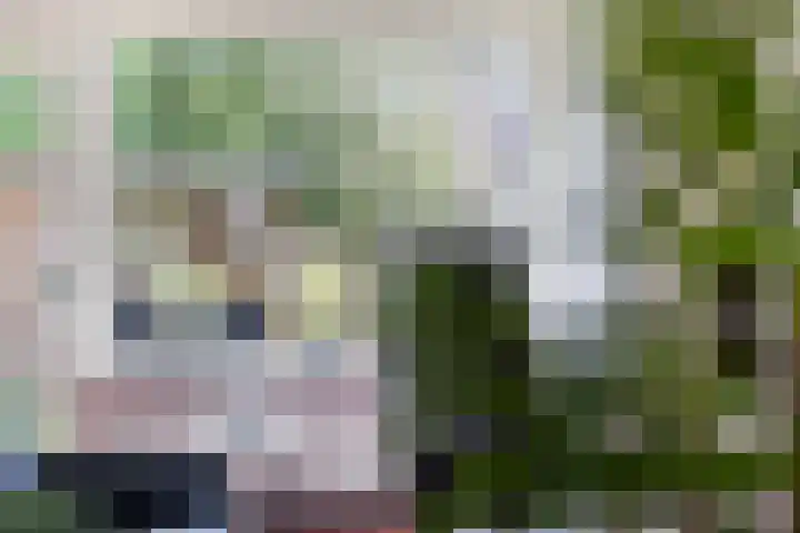 Veenmos 119 Kampen thumbnail 18