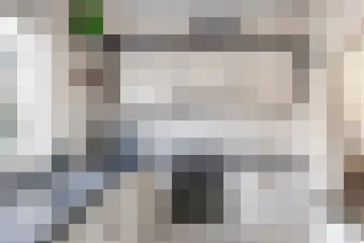 Veenmos 119 Kampen thumbnail 22