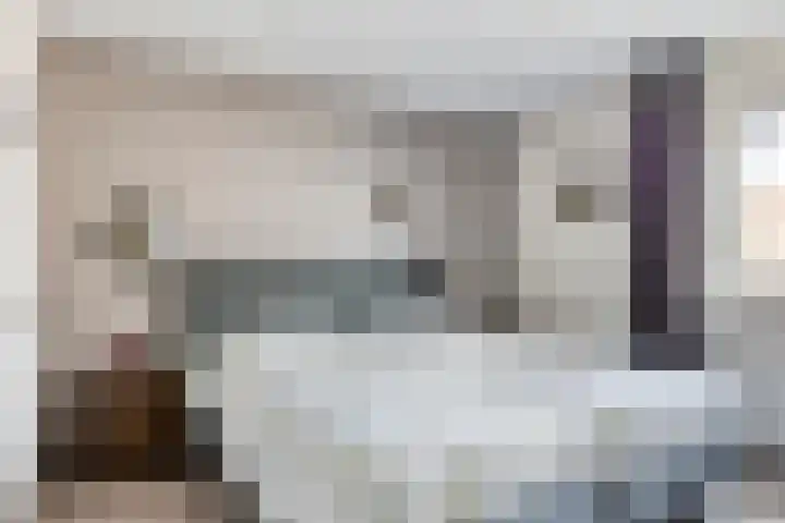 Veenmos 119 Kampen thumbnail 27