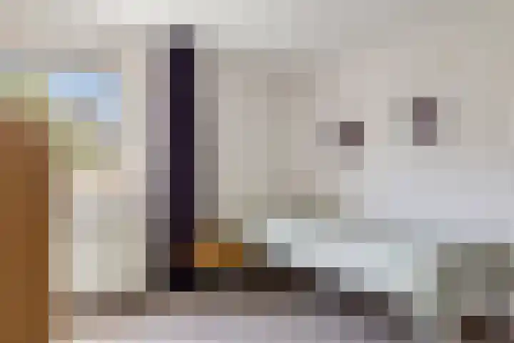 Veenmos 119 Kampen thumbnail 31