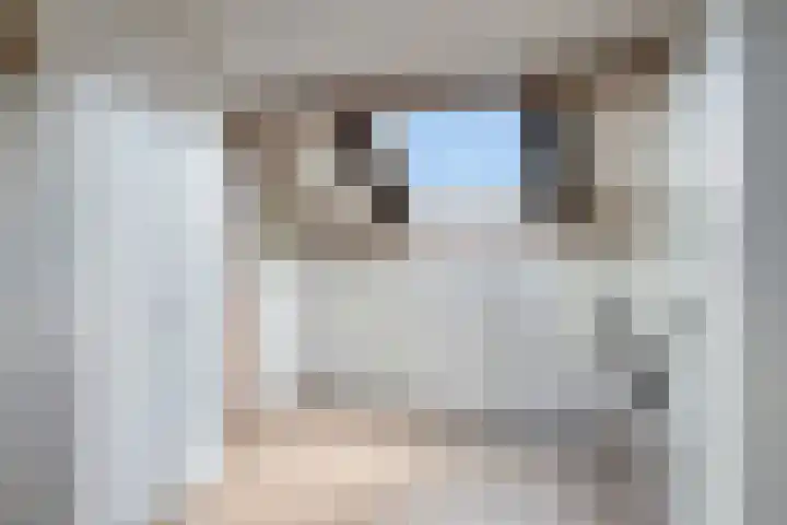 Veenmos 119 Kampen thumbnail 35