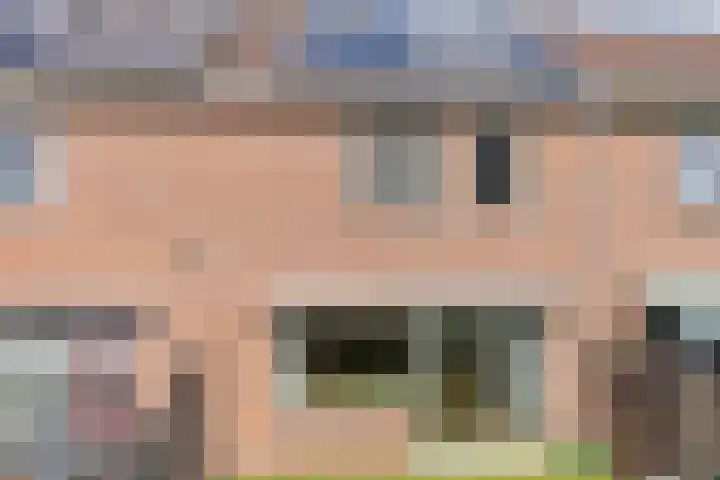 Veenmos 119 Kampen thumbnail 37