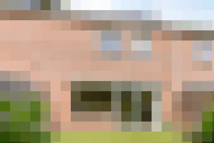 Veenmos 119 Kampen thumbnail 38