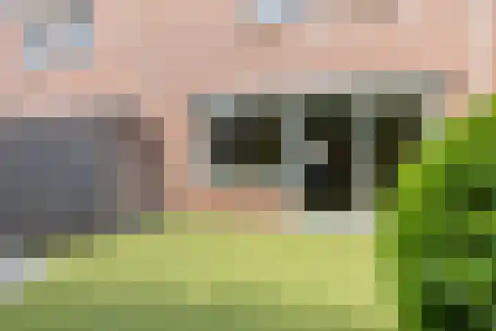 Veenmos 119 Kampen thumbnail 39