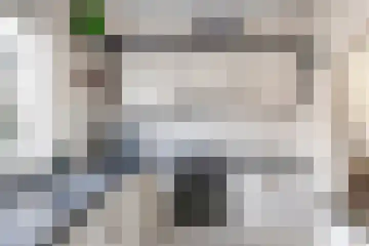 Veenmos 119 Kampen thumbnail 4