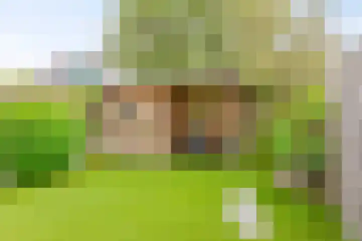 Veenmos 119 Kampen thumbnail 40