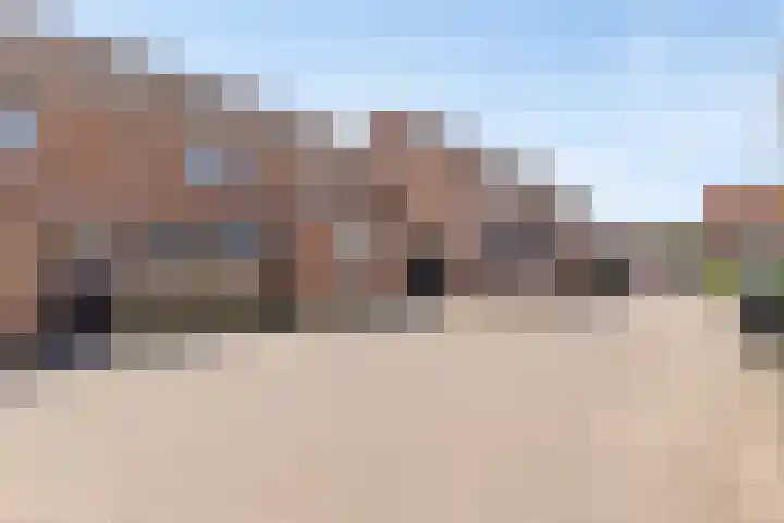 Veenmos 119 Kampen thumbnail 42