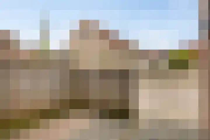 Veenmos 119 Kampen thumbnail 43