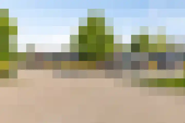 Veenmos 119 Kampen thumbnail 44