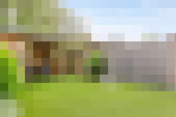 Veenmos 119 Kampen thumbnail 5