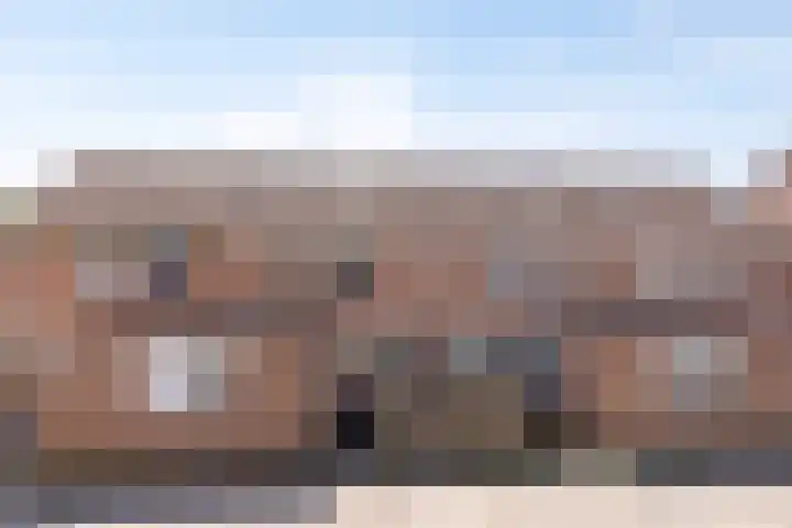 Veenmos 119 Kampen thumbnail 7