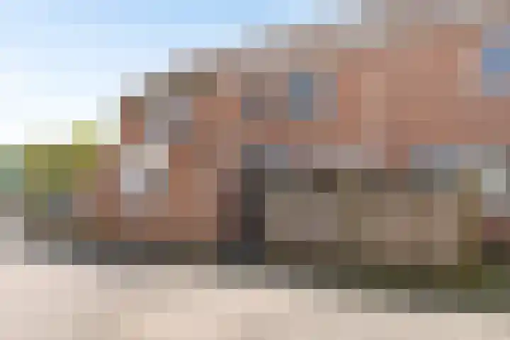 Veenmos 119 Kampen thumbnail 8