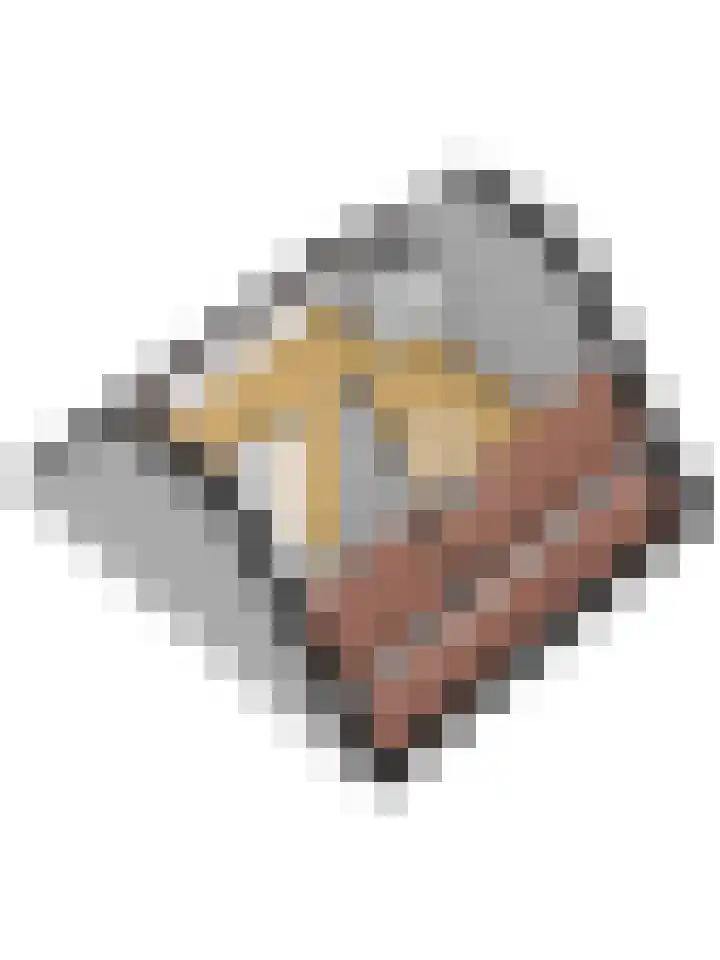 Veenmos 12 Wehl